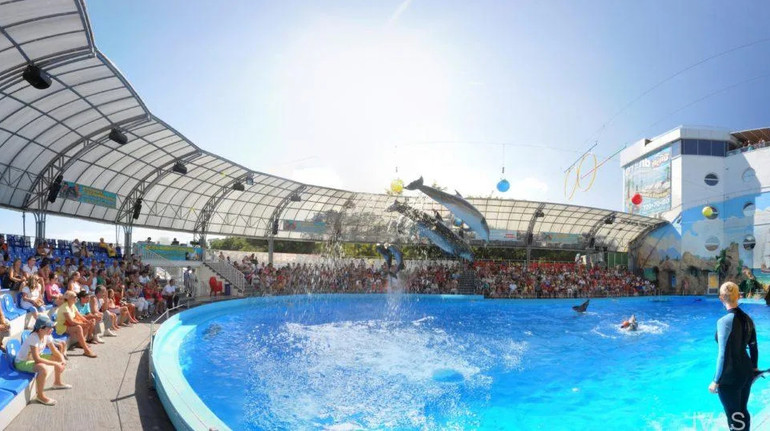 Суд арештував будівлю дельфінарію в Одесі