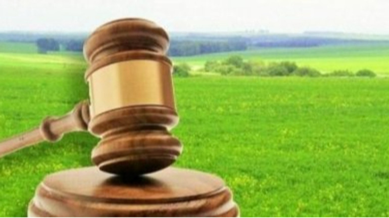 Суд обязал ВЭС, которая оказалась должником, вернуть землю Трускавецкой общине