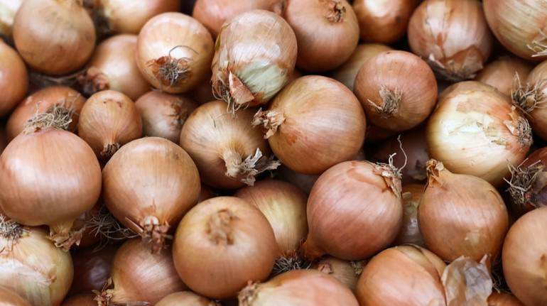В Україні цибуля продовжує дешевшати: яка зараз її ціна