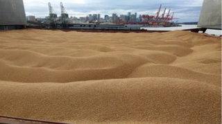 Беларусь зарабатывает на ворованном украинском зерне - ЦПД