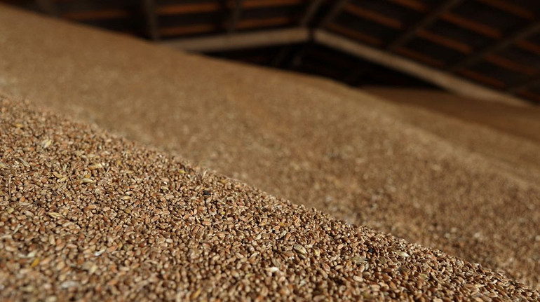 Украина экспортирует по морскому коридору в 55 стран