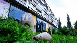 У Запоріжжі суд виселив Національну спілку художників з горища комунальної будівлі