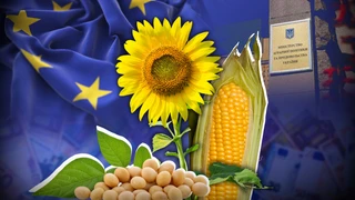 Вступ з обмеженням. Членство в ЄС для українських аграріїв може бути неповним