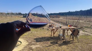 Не треба про це писати, або Одноденна мандрівка на родинну виноробню Бережних під Києвом