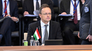 На злодієві шапка горить: у МЗС відповіли Сійярто щодо захоплених українських грошей