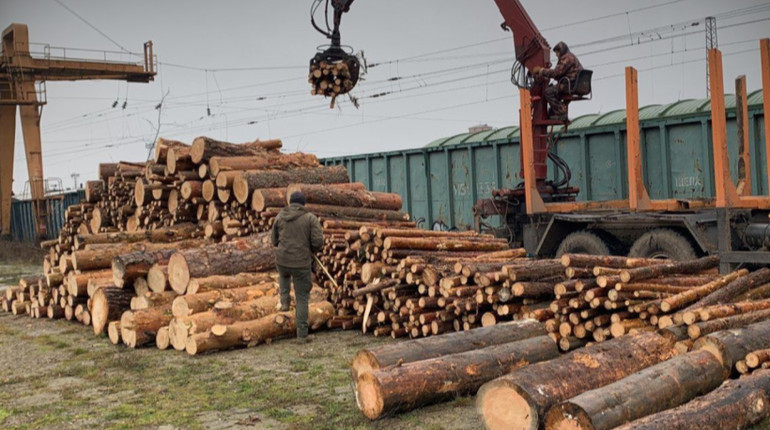 БЕБ розслідує схему незаконного експорту деревини до Румунії: її маскували