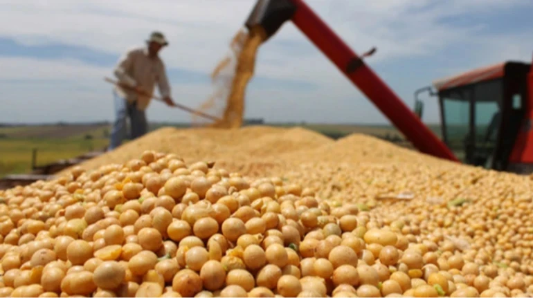 Минэкономики меняет условия экспорта сои и рапса