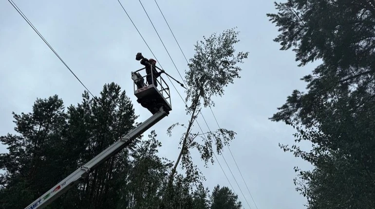 В Киевской области после непогоды восстановили электроснабжение для 200 тысяч семей