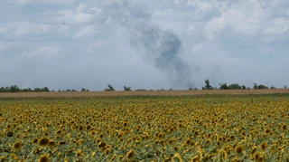 Агрофірма з Луганщини відсудила в РФ 310 мільйонів