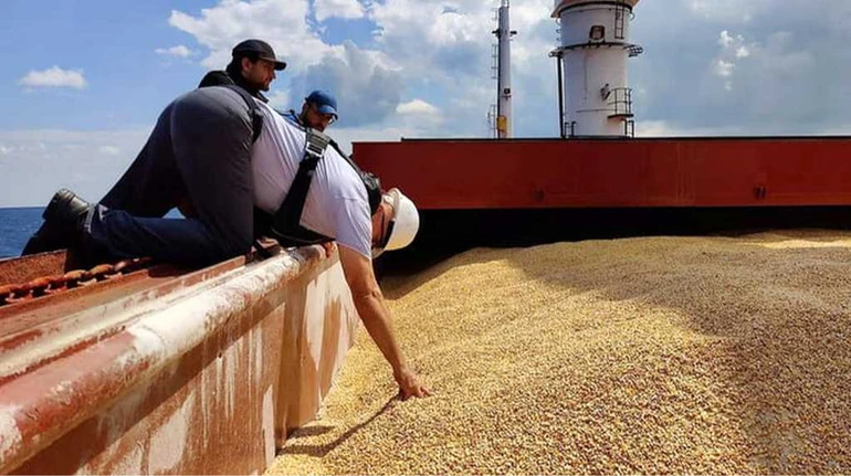 Аграрии ожидают роста цен на продукцию: в каком секторе больше всего