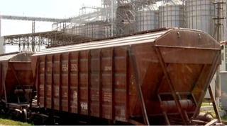 До конца года парк зерновозов Укрзализныци уменьшится втрое