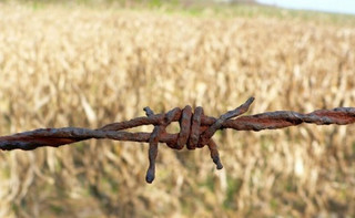 Старт ринку з продажу державної землі. Чому це погана ідея?