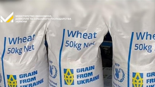 Grain from Ukraine: Пакистан получил от Украины крупную партию пшеницы
