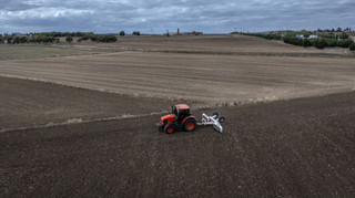 В Україні обсяг ринку землі сягнув мільйона гектарів: яка вартість
