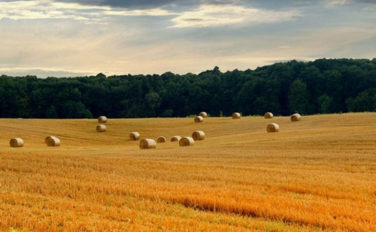 На Львівщині подали до суду через мораторій на продаж землі