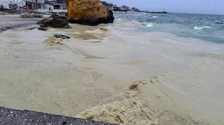 Порт Південний відновив роботу після витоку олії