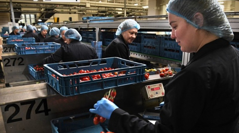 78% відсотків біженців з України працевлаштувались у Польщі