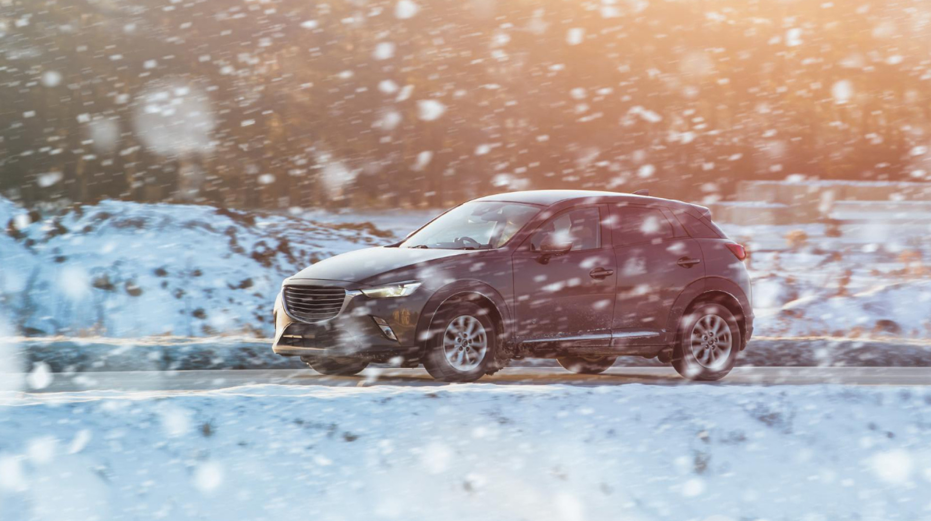 Гайд. Як обрати страхову компанію: критерії, на які варто звернути увагу