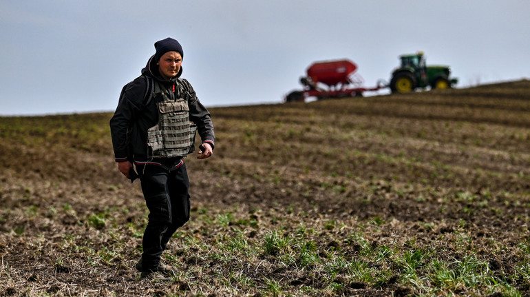 Одна из областей может потерять 30-40% озимых: Минэкономики оценило состояние посевов