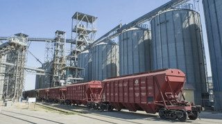За 8 месяцев по железной дороге перевезли почти 19 миллионов тонн зерновых