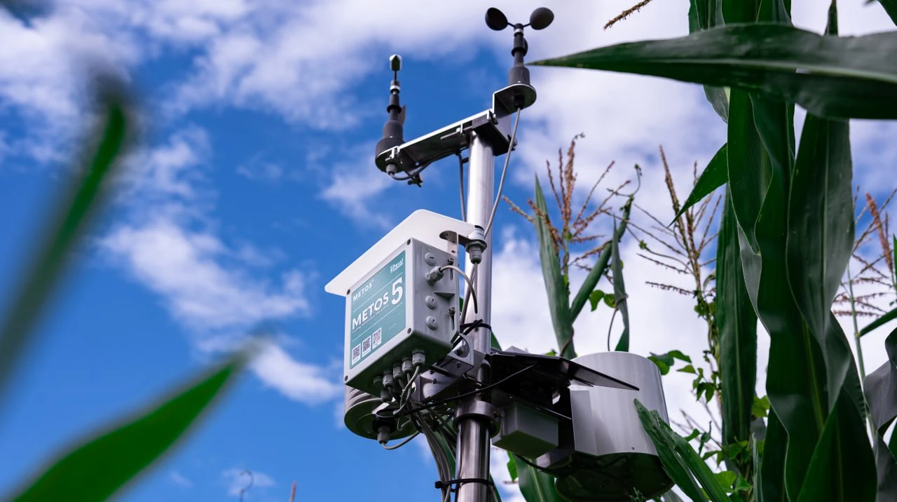 Метеостанції для агробізнесу: як дані з поля знижують витрати і прискорюють рішення фермерів