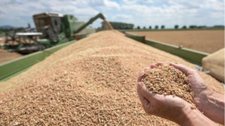 Мировые цены на продовольствие снижаются