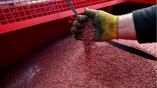 Як у ЄС: Рада підтримала створення агенції для дотацій фермерам