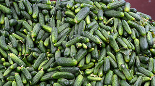 В Украине снизились цены на огурцы: сколько они стоят