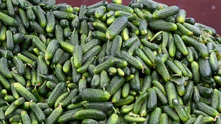 На українському ринку обвалились ціни на огірки: скільки вони коштують