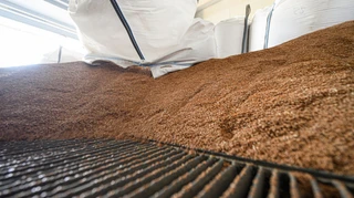 В уряді спрогнозували, що буде з вартістю та наявністю гречки в новому сезоні