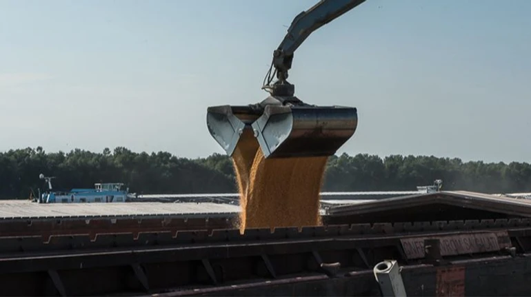 Перевезення зерна на Дунаї продовжує дорожчати, але повільніше