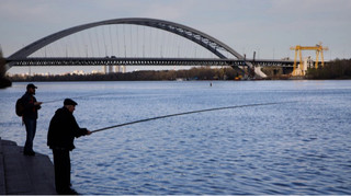 За год рыбные аукционы принесли государству 52 миллиона гривен