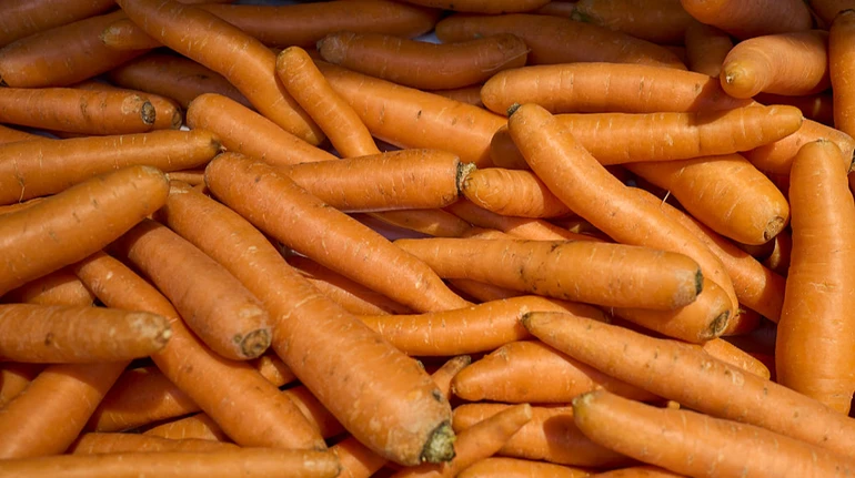 В Україні знов дорожчає морква: яка її ціна