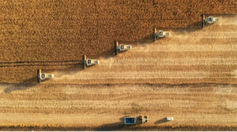 Уряд ухвалив рішення для підтримки агровиробників