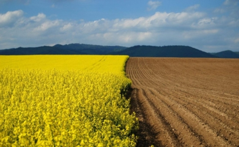 Кабмін збереже передбачену в бюджеті підтримку аграріїв на 4 мільярди — уповноважений Зеленського