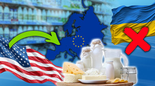 Молочні Штати Америки. Український набіл з ринку ЄС витіснить продукція з США