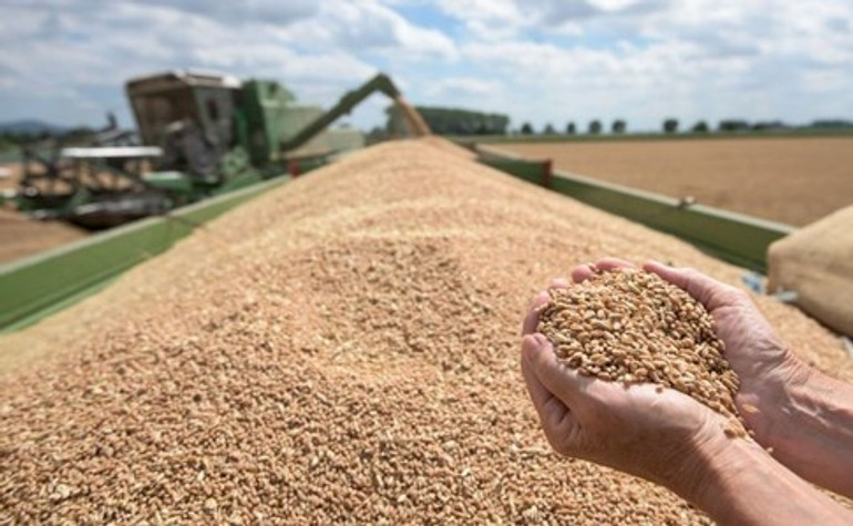 Світові ціни на продовольство досягли рекордного рівня у 2022 році – ООН
