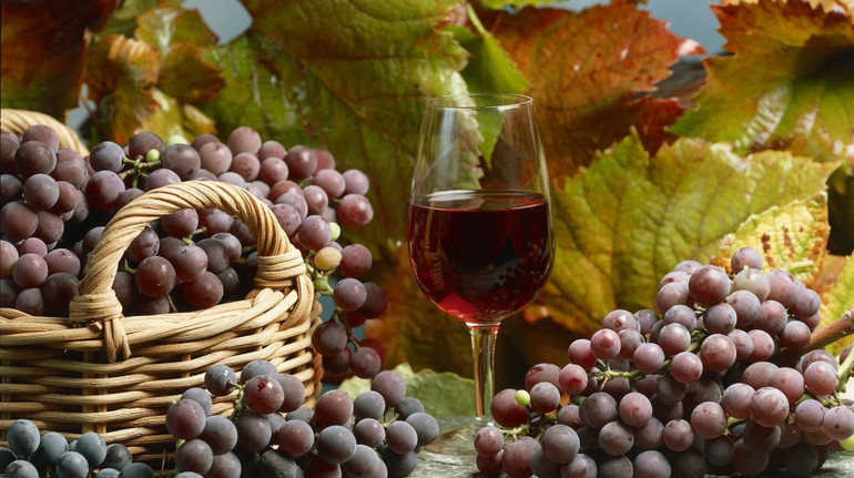 З 1 січня запрацюють нові правила для виноградарів та виноробів: що зміниться