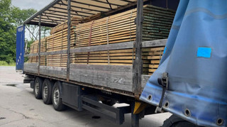 В Україні викрили контрабанду дубових лісоматеріалів до Євросоюзу