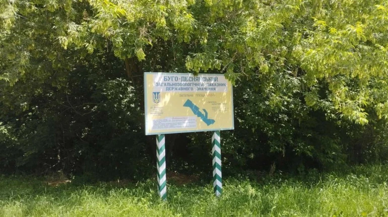 Прокуратура не смогла отобрать у экс-лесовика землю в Буго-Деснянском заказнике