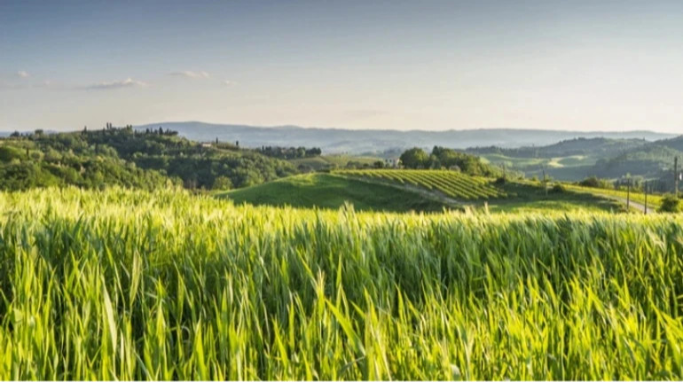 Земельный налог: налоговая рассказала, кто уплатил больше всех