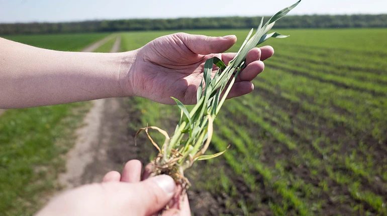 Українські агрокомпанії збільшили прибутки до оподаткування на понад 20%