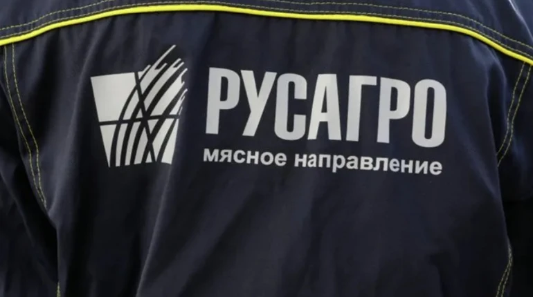 Крупнейший агрохолдинг РФ закрывает бизнес в Белгородской области из-за обстрелов