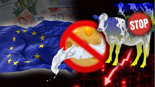 Лавочку прикрили: як ЄС зруйнував експорт української молочної продукції