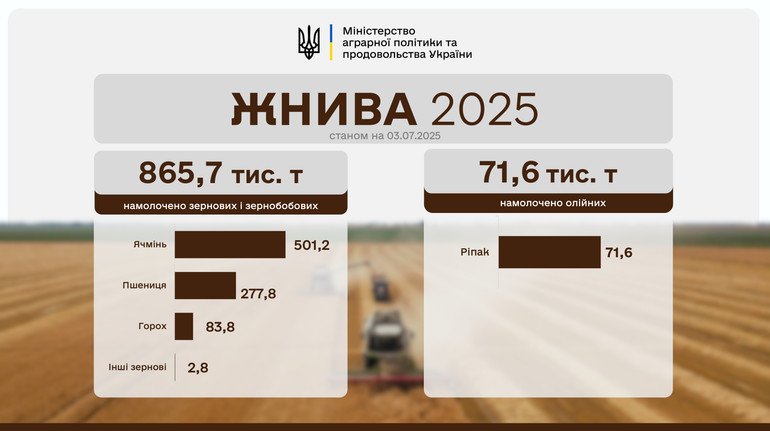 В Україні жнива проходять вже в дев'яти областях: скільки зібрали врожаю