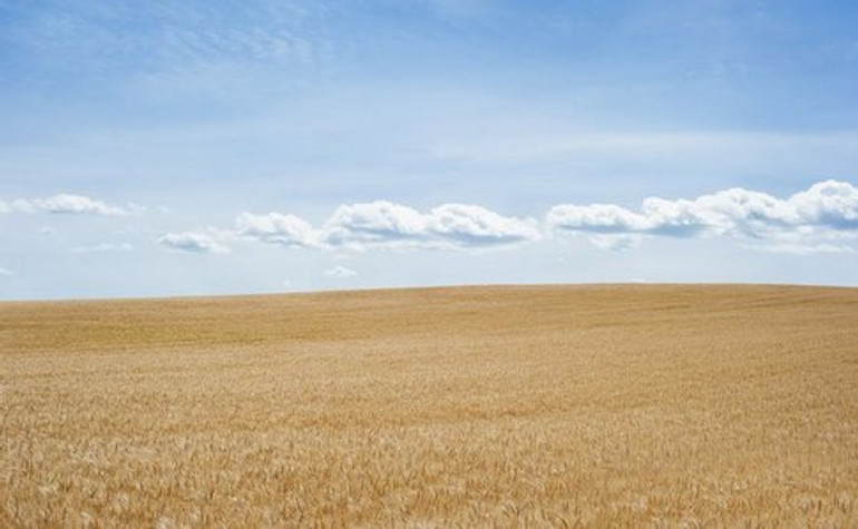 Кабмін прискорює зняття мораторію на землю