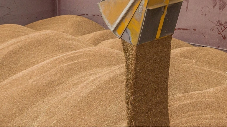 Аграрії зможуть отримати пільгові кредити за програмою 5-7-9%