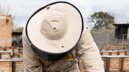 Солодкий мед з гіркою долею: історія переселенців з Донеччини, які з нуля відродили пасіку