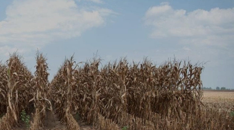 Минэкономики сообщило, по каким критериям будут определять зоны рискованного земледелия