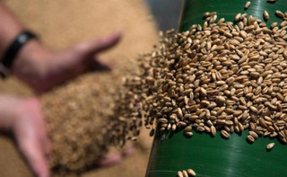 Золотые яйца, дорогие масло и сахар. Почему в Украине растут цены на продукты